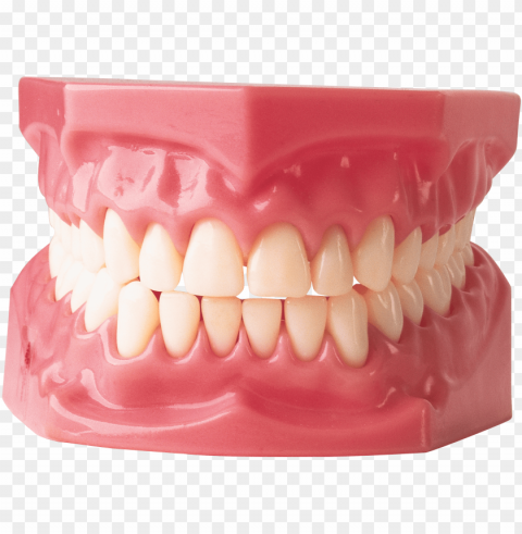 tooth PNG images for printing