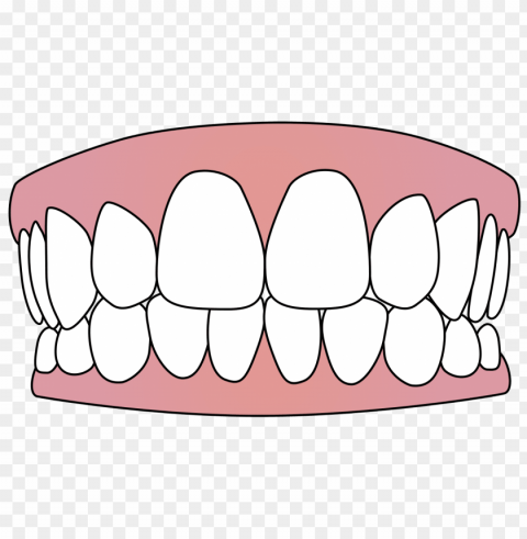 tooth PNG transparent photos vast collection
