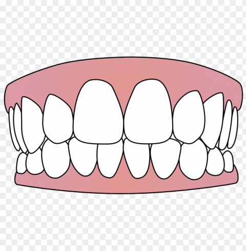 Tooth PNG Transparent Photos Vast Collection