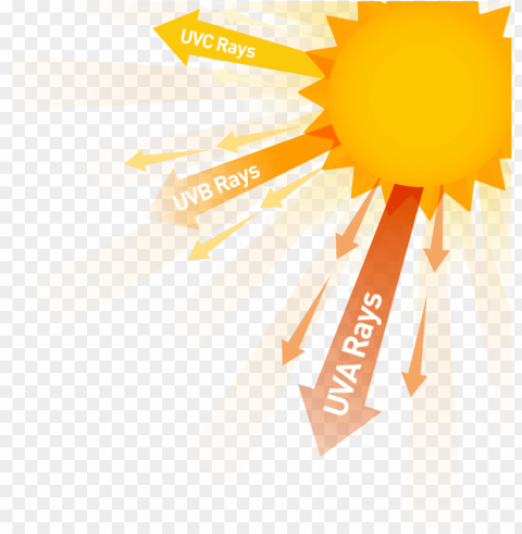 top five questions on skin cancer - ultraviolet ray clipart PNG Graphic with Isolated Transparency