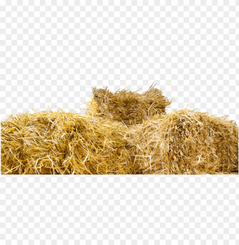 top of straw bales Isolated Item with Transparent Background PNG