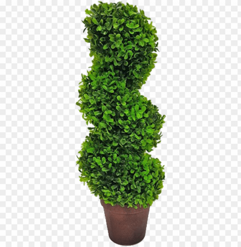 topiary tree spiral - tree PNG images with high-quality resolution