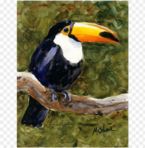 Toucan Flag Garden Size Free Download PNG With Alpha Channel Extensive Images