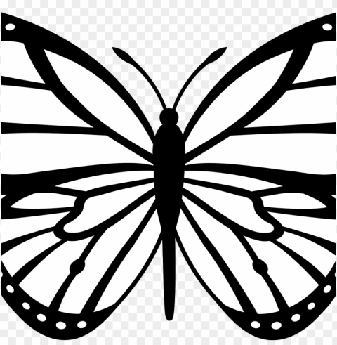 traceable butterfly images with free butterfly wing - butterfly line art PNG file with alpha