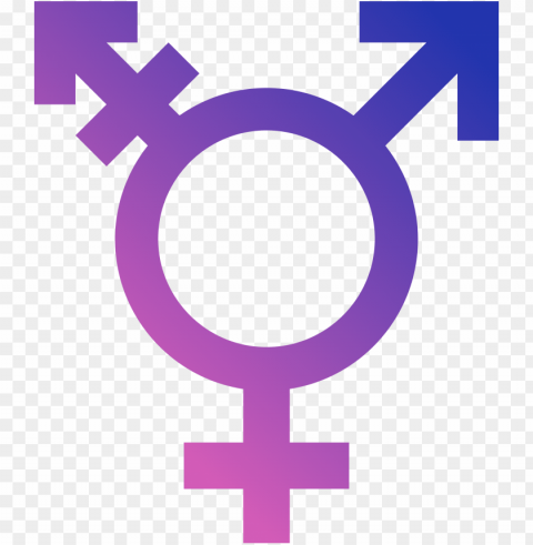 trans PNG isolated