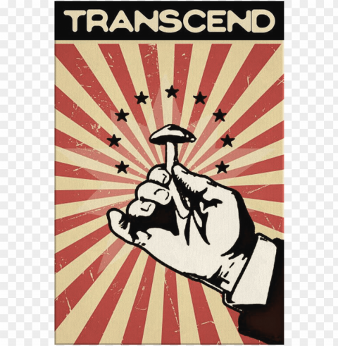 transcend - magic mushrooms High Resolution PNG Isolated Illustration