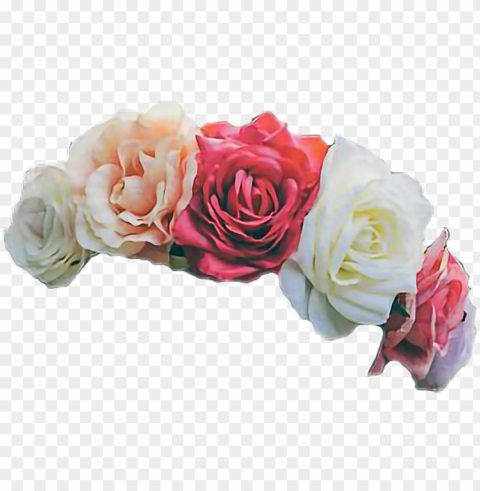 transpa white flower crown - rose flower crown transparent PNG Graphic with Isolated Design
