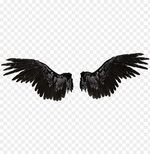  angel wings - black angel wings Transparent Background Isolated PNG Icon