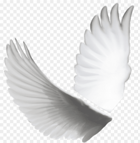 transparent angel wings tumblr psd detail - dove wings PNG images for mockups