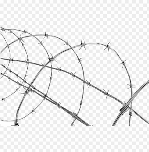 transparent barbed wire Clear Background PNG Isolated Subject