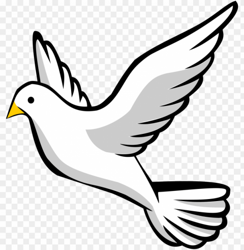  background dove PNG images with transparent canvas compilation