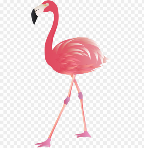 transparent background flamingo clipart PNG Image with Isolated Icon