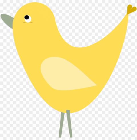 transparent bird graphics Isolated Graphic with Clear Background PNG