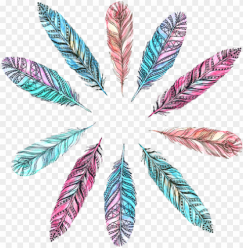transparent bohemian feather PNG file with alpha