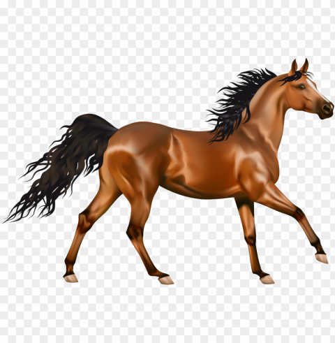 transparent brown horse clipart - ح words CleanCut Background Isolated PNG Graphic