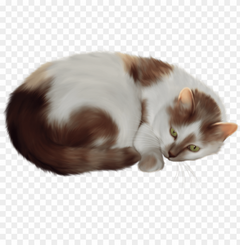 transparent cat clipart - transparent cat clipart Isolated Graphic on Clear Background PNG