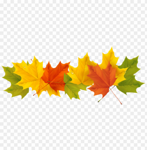 transparent fall leaves picture - fall leaves border transparent PNG for social media