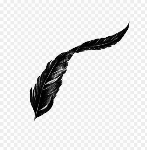 Transparent Feather PNG Images With No Background Necessary