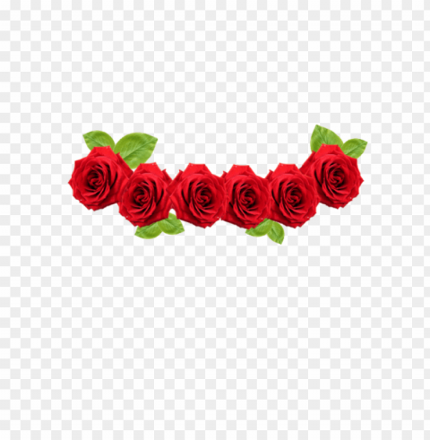 transparent flower crown PNG files with no backdrop pack PNG transparent with Clear Background ID 123dbfee