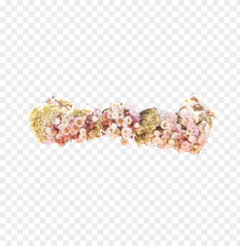 transparent flower crown PNG images with alpha channel selection