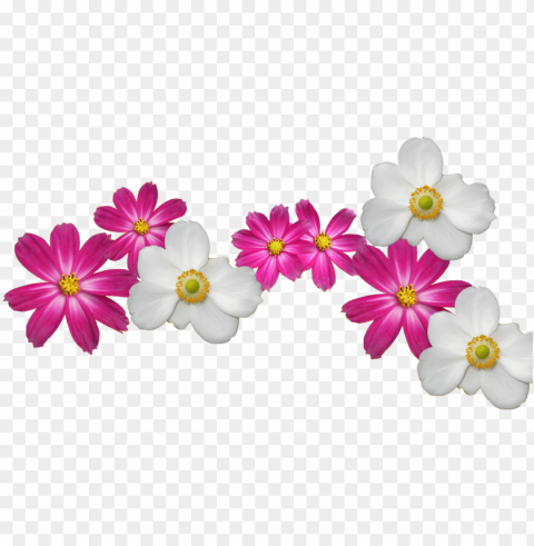 transparent flower crown - pearl farm food menu Free download PNG with alpha channel