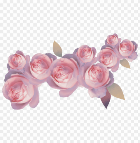 transparent flower crown red PNG Image with Isolated Graphic Element