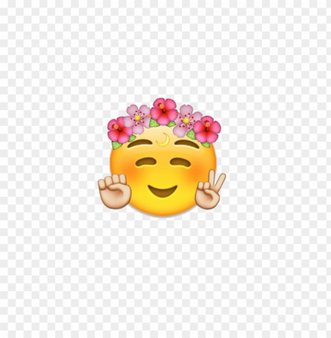 transparent flower crown tumblr PNG format with no background