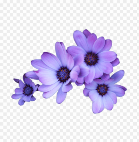 transparent flower crown tumblr PNG free download PNG transparent with Clear Background ID 58b77b8a