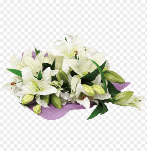  flower lily Transparent graphics PNG transparent with Clear Background ID 541c2fca