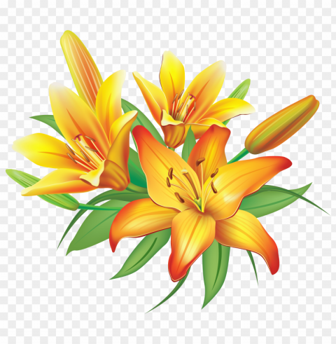  flower lily Transparent PNG Illustration with Isolation