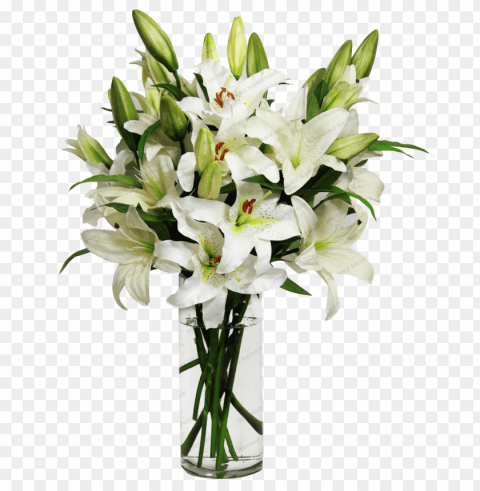  flower lily Transparent PNG image free