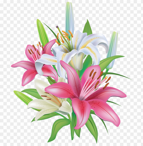  flower lily PNG images with transparent space PNG transparent with Clear Background ID 3056474a