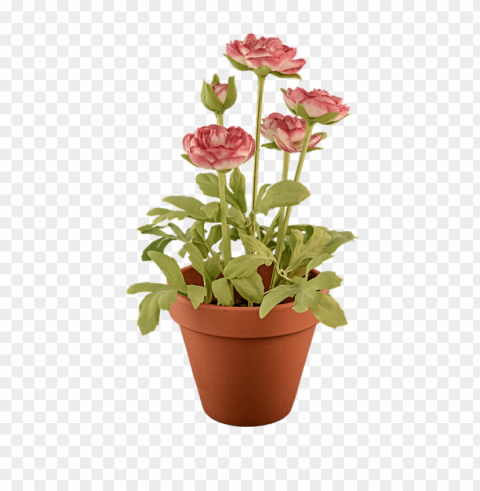 transparent flower pot Clear PNG images free download