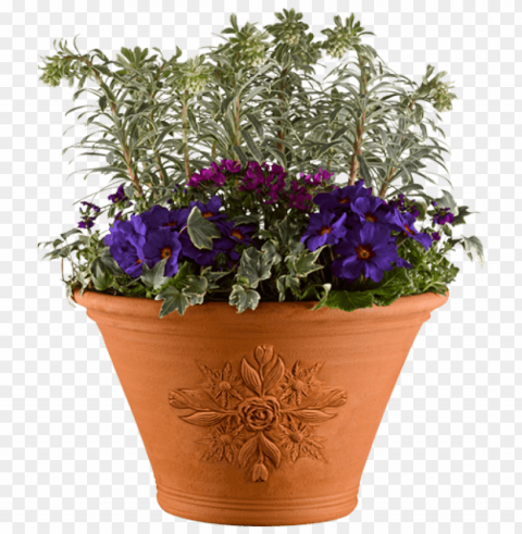 Transparent Flower Pot ClearCut Background PNG Isolation