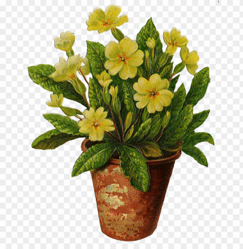 Transparent Flower Pot Free Download PNG With Alpha Channel Extensive Images