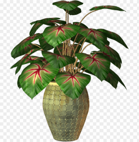 transparent flower pot Free PNG images with alpha transparency compilation PNG transparent with Clear Background ID 1ef2f106