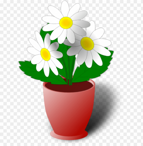 transparent flower pot Free PNG images with clear backdrop