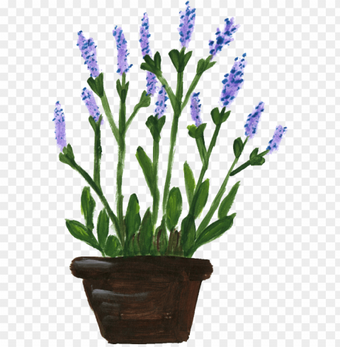  flower pot Free PNG images with transparent backgrounds