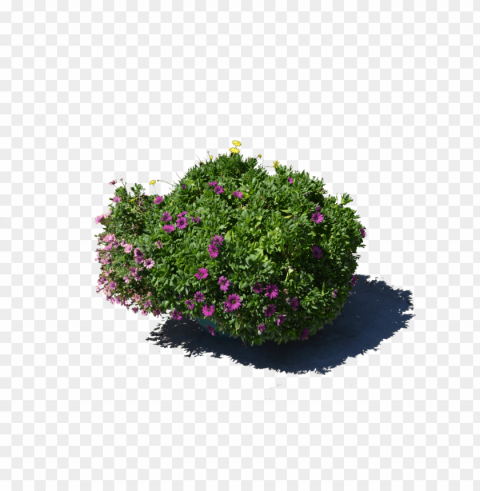  flower pot High-definition transparent PNG