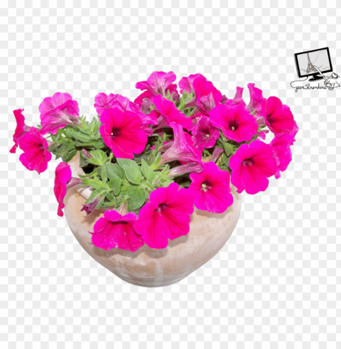 transparent flower pot PNG with Isolated Object and Transparency