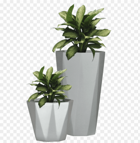  flower pot PNG with transparent overlay
