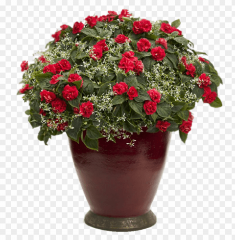  flower pot Transparent PNG Isolated Element