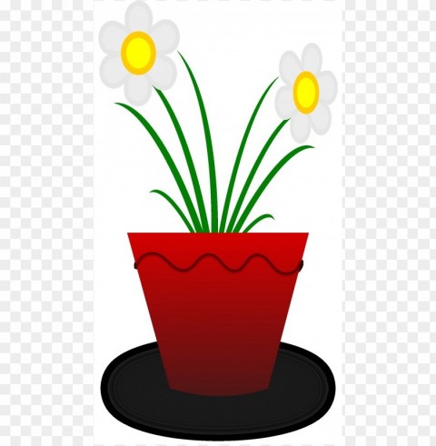  Flower Pot Transparent PNG Isolated Element With Clarity