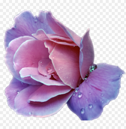  flower tumblr Transparent design PNG PNG transparent with Clear Background ID 825103c9