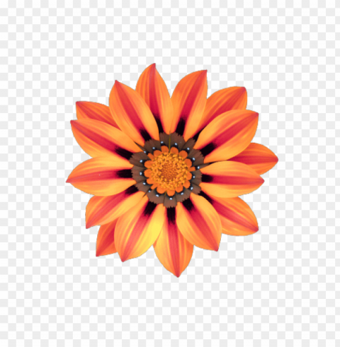  flower tumblr Transparent PNG graphics complete collection