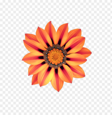  Flower Tumblr Transparent PNG Graphics Complete Collection