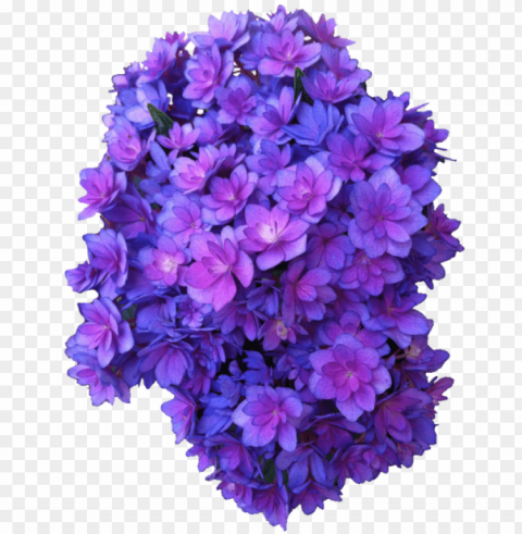  flower tumblr Transparent PNG images extensive variety