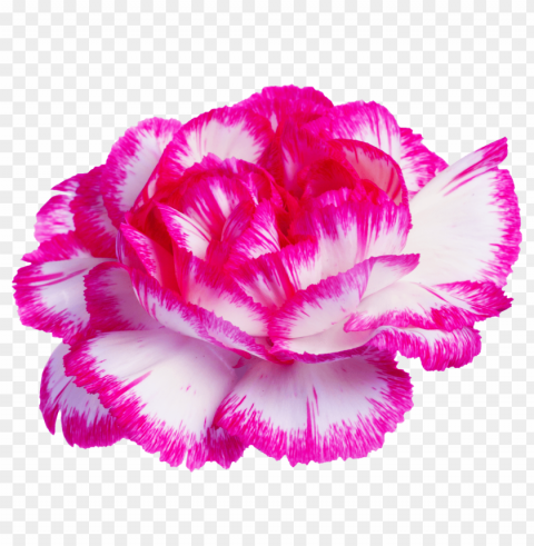  flower tumblr Transparent PNG images with high resolution PNG transparent with Clear Background ID b0f13a27