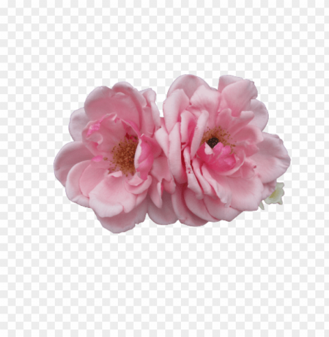 Transparent Flower Tumblr PNG No Background Free