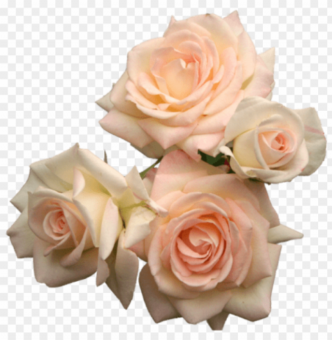  Flower Tumblr Transparent PNG Image Free